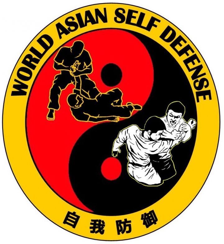 world asian self defense
