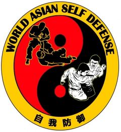world asian self defense