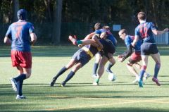 Compte rendu du match contre &#039;Les Servals&#039;