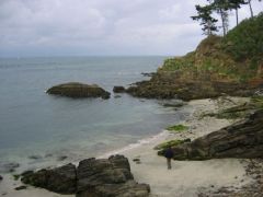 Sortie de la saison 2008-2009